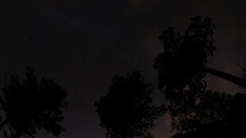 Timelapse of the starry sky above the mountain peaks in the Siberian forest. Stock Footage 88982033