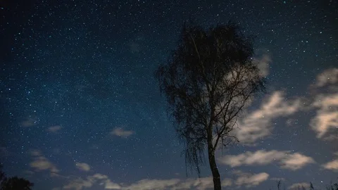 Timelapse of a starry sky on the background of the tree Stock Footage 127964931