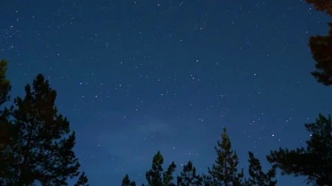 Timelapse of the starry sky through the trees in the forest. flickering fire Stock Footage 140273169