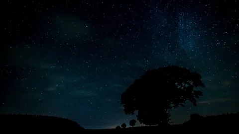 Timelapse - Stars behind tree in field Stock Footage