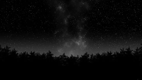Timelapse of stars moving over pine trees. Stock Footage 95550891