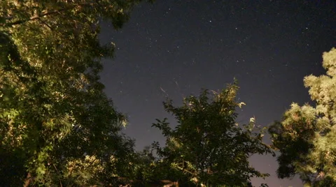 Timelapse Stars Moving Through the Trees at Night Stock Footage 67813546