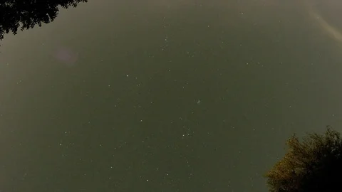 TIMELAPSE OF STARS AT NIGHT WITH SOME TREES 動画素材 70207237