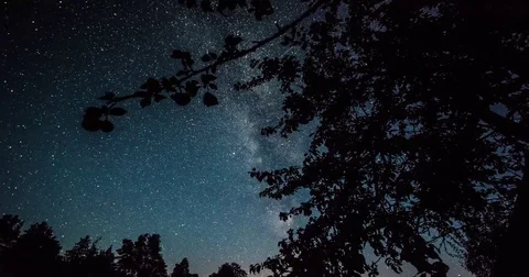 Timelapse of stars over trees at winter night then clouds coming on dark sky. Stock Footage