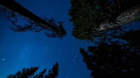 Timelapse of stars with pine trees in winter snow rocky mountain Stock Footage 96271802