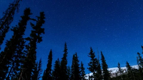 Timelapse of stars with pine trees in winter snow rocky mountain, Colorado Stock Footage 96271854