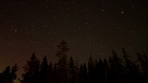 Timelapse of stars shining and rotating above tree silhouettes of dense forest Video stock 124239069