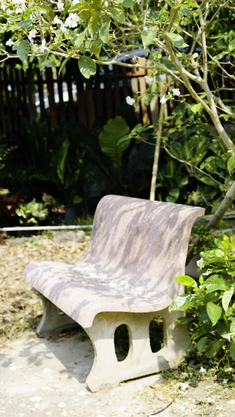 Timelapse, Stone Bench Is In The Backyard Stock Footage 306362453