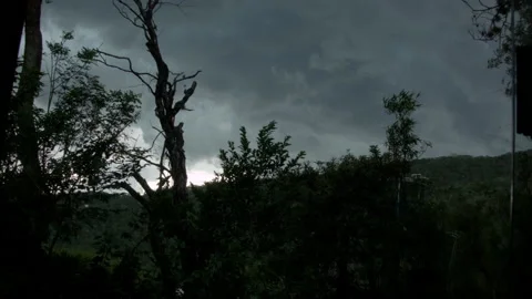 Timelapse storm in forest hill 動画素材 209300647