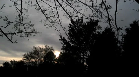 Timelapse of stormy clouds between trees Stock-Footage 38496056