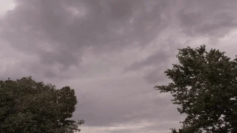 Timelapse of Stormy Clouds Over Trees 動画素材 90385913