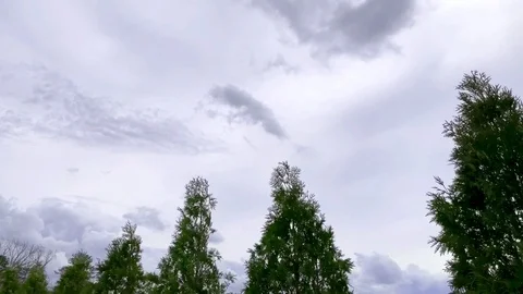 Timelapse of Stormy Skys Over Treetops Stock Footage