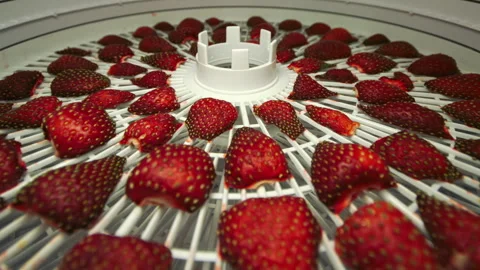 Timelapse of strawberries drying out in dehydrator Stock Footage 242779623