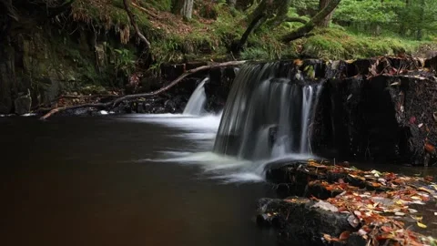 Timelapse of a stream and waterfall in autumn, England, UK Stock Footage 253556722