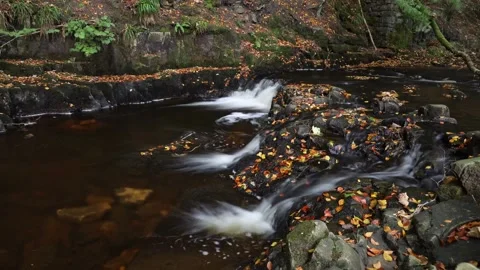 Timelapse of a stream and waterfall in autumn, England, UK Stock Footage 253556723