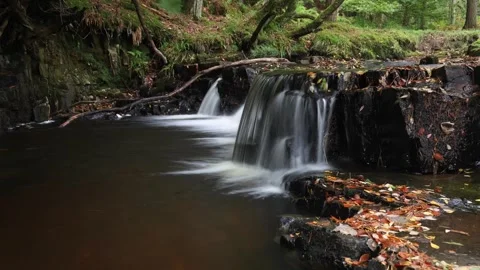 Timelapse of a stream and waterfall in autumn, England, UK Video stock 253556724