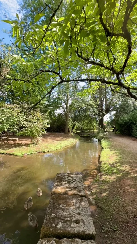Timelapse of stream with ducks and bridge at Le Bournat Dordogne Stock Footage 315191275