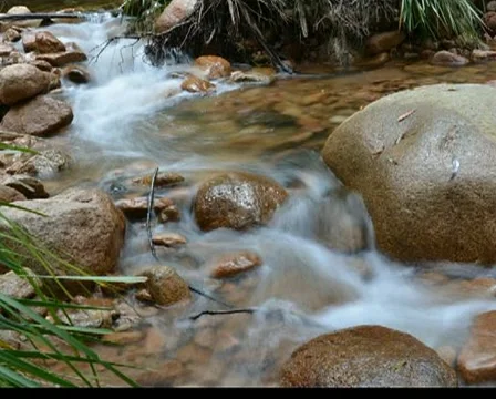 Timelapse stream Stock Footage 3774868