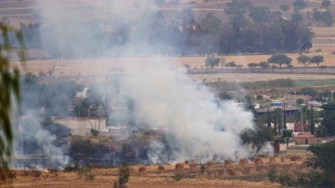 Timelapse stubble burning field fire near houses Stock Footage 148180842