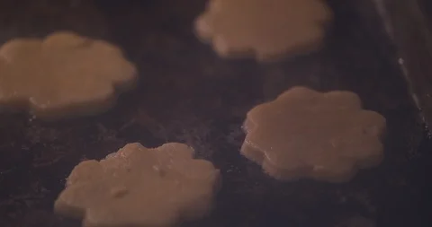 Timelapse of Sugar Cookies Baking in the Oven in 4k Stock Footage 101054835