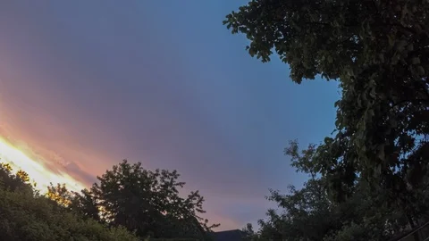 Timelapse summer dusk blue and violet sky tree without wind in suburban Stock Footage 109053237