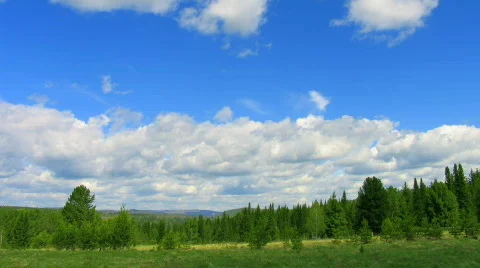 Timelapse summer nature scene clouds above forest Stock Footage 874118
