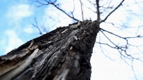 Timelapse summer sunset on the river Stock Footage 128309438