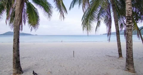 Timelapse summer video 4k of the beach Stock Footage 148751392