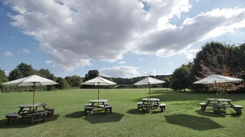 Timelapse - Summer Wedding Venue Stock Footage 81311325