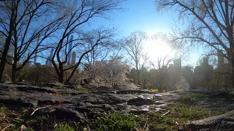 Timelapse: The sun crests over large rocks in Manhattan's Central Park NYC Stock Footage 153066420