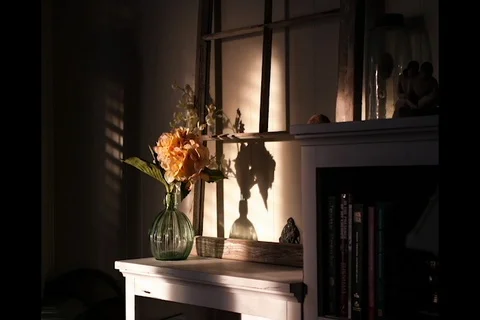 Timelapse of sun on flower on bookshelf Video stock 118494571