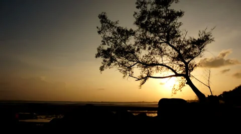 Timelapse of sun goes down over the sea with silhouette of tree 動画素材 36440081
