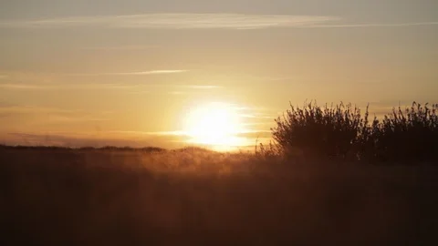 Timelapse of sun setting behind brush in Alberta Stock Footage 90834174