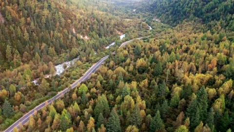 Timelapse of Sunlight Dancing on a Winding River Video stock 304315889