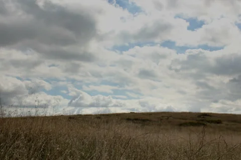 Timelapse in a Sunny Field Stock Footage 888242