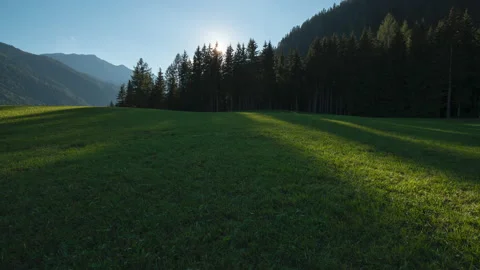 Timelapse sunrays through trees 스톡 동영상 169033966