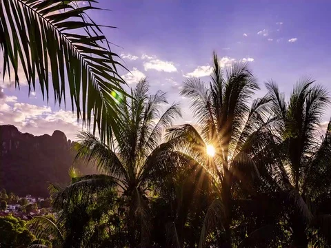 Timelapse of a sunrise at Bukit Mas, Kuala Lumpur, Malaysia Stock Footage 102904286