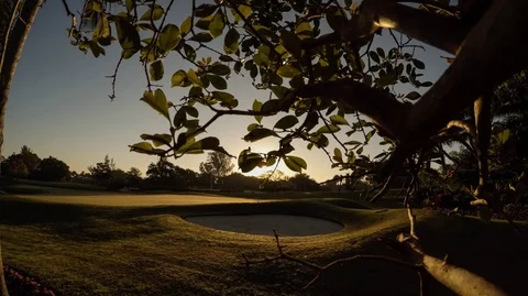 Timelapse sunrise golf course behind tree Stock Footage 78677100