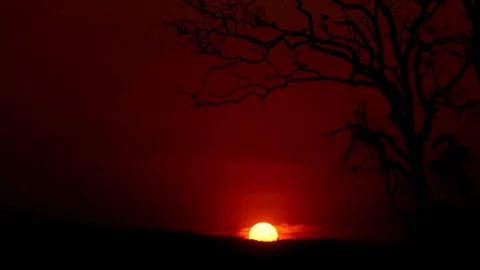 Timelapse sunrise night background Stock Footage 264170569