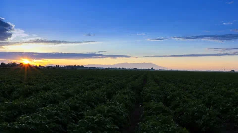 Timelapse sunrise over farm fields with moving clouds 動画素材 26671801