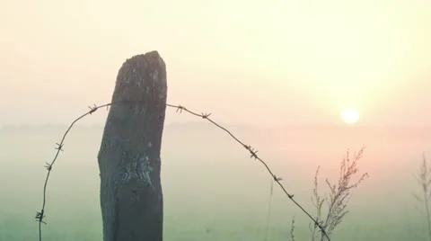 Timelapse Sunrise over field Stock Footage 11222255