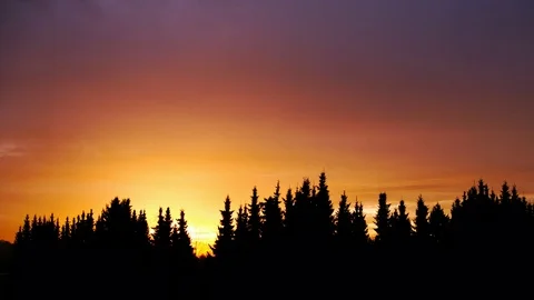 Timelapse of sunrise over forest Stock Footage 72848483