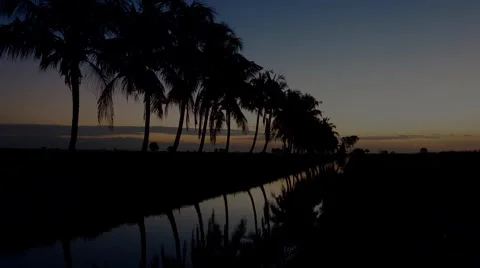 Timelapse of sunrising over the trees. Stock Footage 58952193