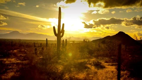 Timelapse of the Sunset in the American Desert Stock Footage 276859907