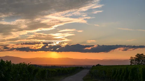 Timelapse sunset among the vineyards with a view to the Vosges Mountains Vídeos de archivo 345709916