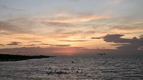 Timelapse of Sunset and cloud movement over Nice sea with seagull fly over du Stock Footage 130225982