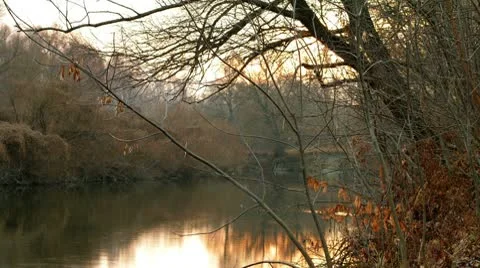 Timelapse. sunset in the autumn forest. Video stock 9128589