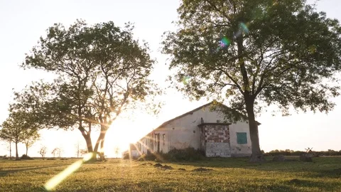 Timelapse sunset in bird paradise plain with small house and trees Stock Footage 113674058