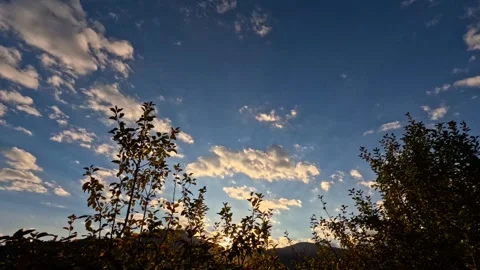 Timelapse of sunset clouds behind hills and trees Video stock 319421573