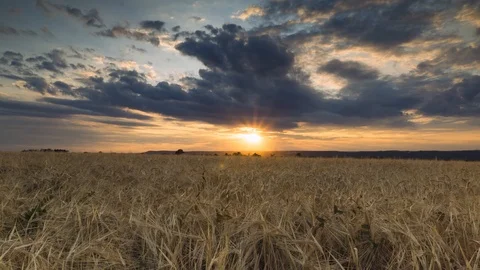 Timelapse of a sunset with clouds in burgundy Stock Footage